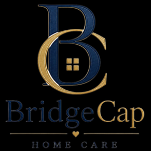 brifge-logo